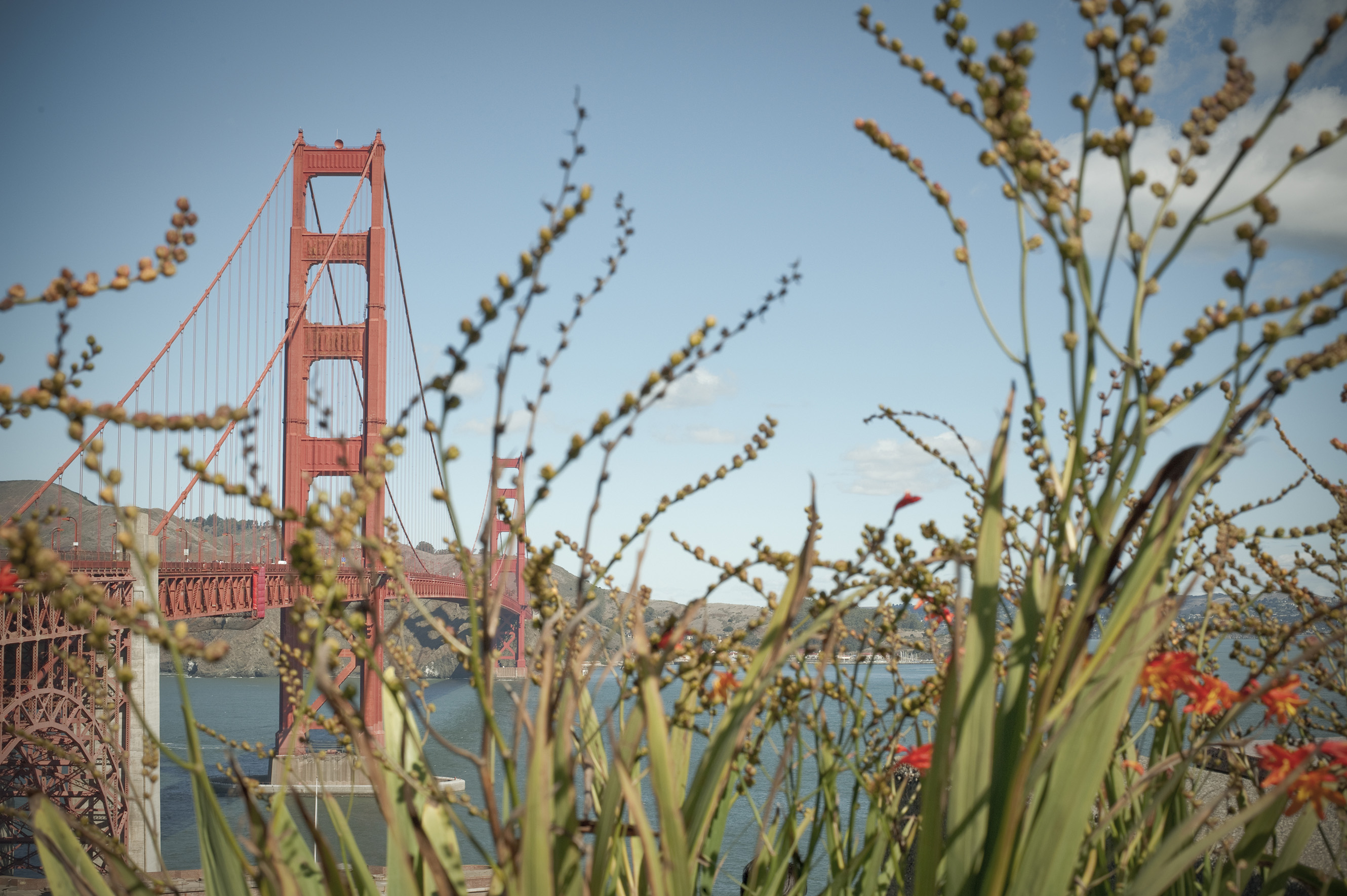 Golden Gate Bride - San Francisco/USA