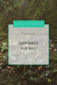 empfohlene impfungen bali indonesia